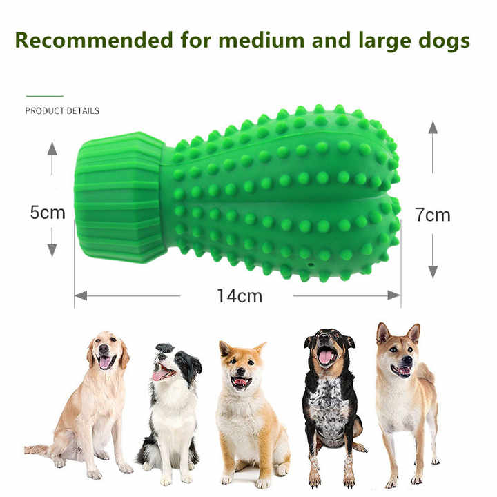 Cactus Dog Toy